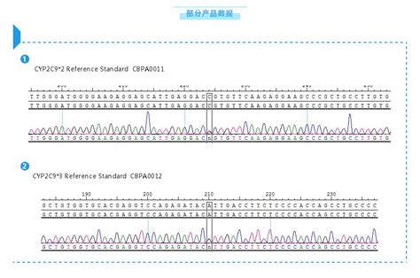 CYP2C19基因检测试剂 - 南京仁天生物科技有限公司