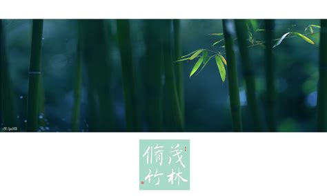 【茂林修竹摄影图片】北京生态摄影_ljm1028_太平洋电脑网摄影部落