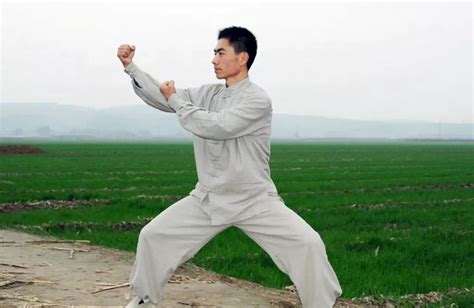 中国十大著名功夫排名 少林拳上榜,第一是太极_文化_第一排行榜