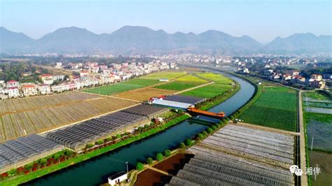 2022年中国乡村振兴产业融合发展报告