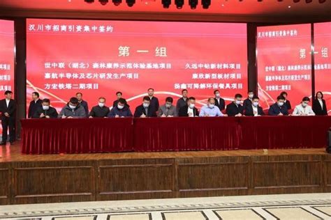 康欣新材与汉川市政府签署战略协议-木业网