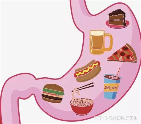 肠胃屏障受损，胃酸胃胀、消化不良怎么办？喝益生菌可以解决吗？ - 知乎