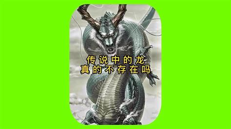 传说中的龙真的存在吗？为何中国人自称龙的传人？详解龙的来历纪录片