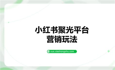 小红书聚光平台基础介绍