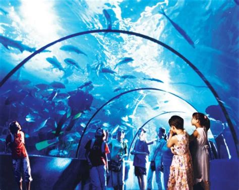 武汉东湖海洋乐园 - 海洋世界