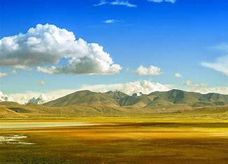 西藏百度网站优化推广 的图像结果