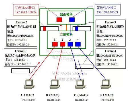 VLAN技术详解-CSDN博客