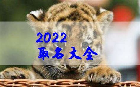 2022年3月出生的虎宝宝起名 2022虎宝宝男女孩单字分享_奇缘阁算命网