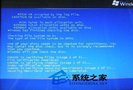 Windows 11 中的“蓝屏死机”熄灭-云东方
