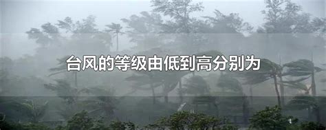 台风预警信号-中国气象局政府门户网站
