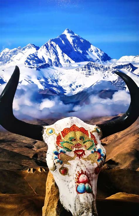 我们的传家宝丨老西藏精神-国内频道-内蒙古新闻网