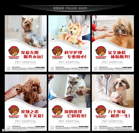 宠物医院设计图__海报设计_广告设计_设计图库_昵图网nipic.com