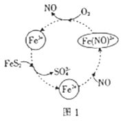 向一定质量的AgNO3和Fe（NO3）2的混合溶液中加入m克Zn粉，充分反应后过滤，
