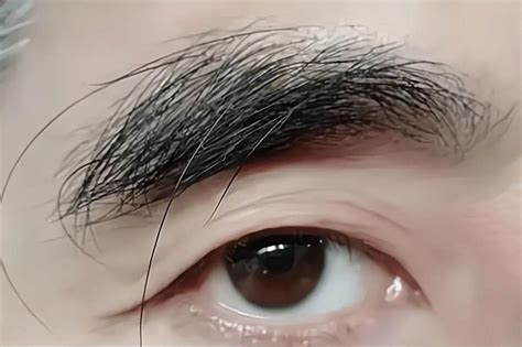 【图】眉毛越来越稀少是什么原因 4个方法让你拥有漂亮浓眉_眉毛越来越稀少是什么原因_伊秀美容网|yxlady.com