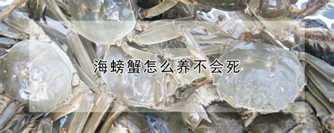 螃蟹煮多久可以吃（煮螃蟹是冷水下锅还是热水下锅）_玉环网
