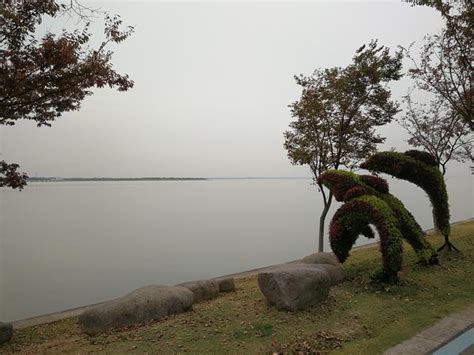 [上海]青浦淀山湖总部基地工业园产业园知名景观公司景观-sketchup模型-筑龙渲染表现论坛