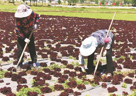 青海省互助县获评2022年全国休闲农业重点县-互助县人民政府