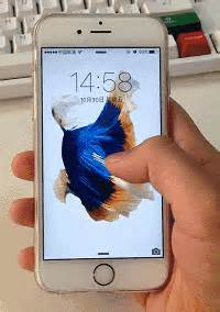 iphone6s动态壁纸,苹果6s鱼动态壁纸图片,ine动态壁纸_大山谷图库