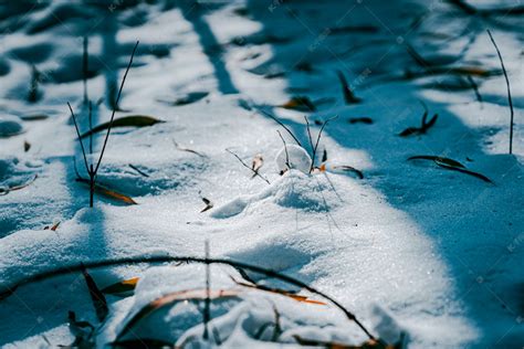 冬天野外树林地面上的积雪高清摄影大图-千库网