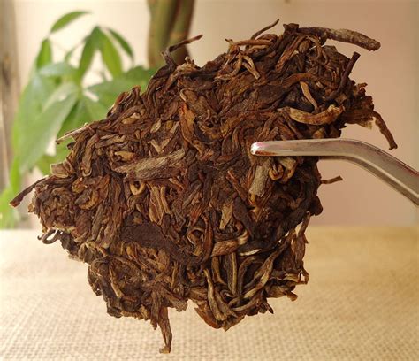 勐海布朗古树白茶 滋味香醇 甜韵明显 350克云南白茶 老树 大叶种-藏锋号古茶