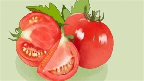 西红柿吃的时候千万要清洗干净，洗不干净的话说不定会中毒！_番茄