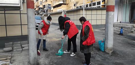 新同乐社区组织开展“全城清洁”党员志愿服务活动-大河新闻