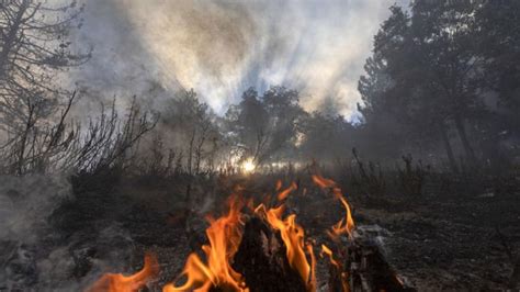 2020年拉尼娜“发飙”？美国山火仍失控中，过火面积约8.7万公顷