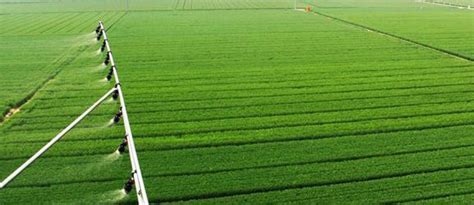 如何发展绿色农业？_现代农业产业规划 - 前瞻产业研究院