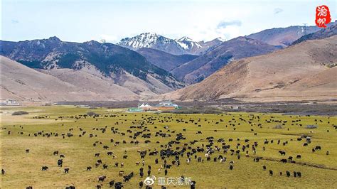 去西藏超级详细的行程推荐分享，西藏昌都5天需要多少钱（收藏赶紧看）-旅游官网