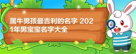 男宝宝名字大全2023属兔 - 男宝宝名字大全2021属牛免费 - 香橙宝宝起名网