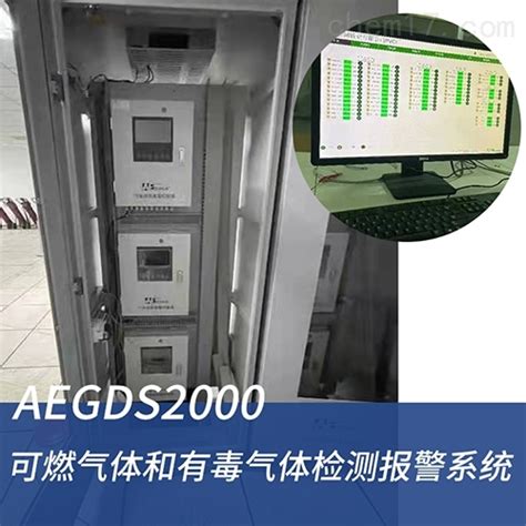 GDS系统-英吉森安全消防系统（上海）有限公司