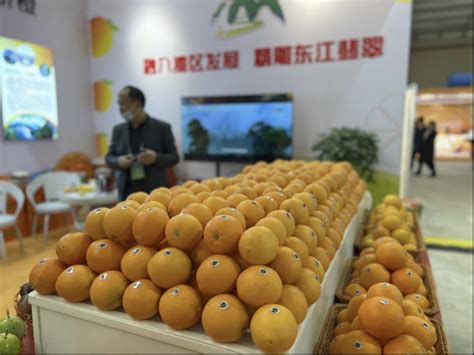 2022赣南脐橙国际博览会在信丰盛大开幕 - 新闻资讯 - 信丰脐橙网