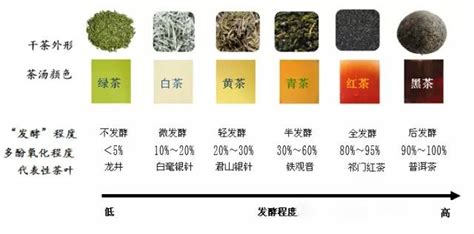 中国六大茶系：分类及特色，看完就懂了（喝茶入门） - 知乎