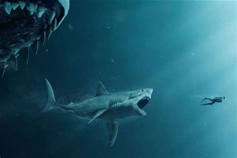 龙王鲨vs巨齿鲨,巨齿鲨vs巨牙鲨_大山谷图库