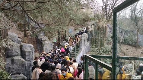 科学网—南京红山森林动物园 - 刘桂锋的博文