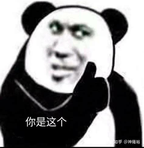 搞笑沙雕熊猫头表情包来啦，敲可爱~-搜狐大视野-搜狐新闻