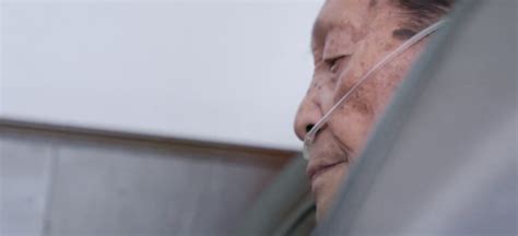 痛别！91岁袁隆平逝世：穿35元衣服，让8亿人吃饱饭，这才是国士无双_凤凰网资讯_凤凰网