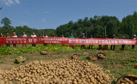 助农扶贫卖土豆 拼多多精准发力推动“农产品进城”