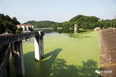 湘潭：一级水源地（跃进水库）绿萍入侵调查(3)-国际环保在线