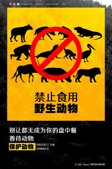 大气简约禁止食用野生动物海报设计素材_保护动物图片_公益广告图片_第13张_红动中国