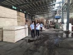 贵港港南区木业加工业实现产值111.3亿元，同比增长18.4%。-木业网