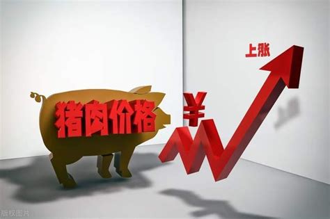 各省能繁母猪存栏数据公开 专家：下半年猪价呈W字型走势-潍坊加易加生物科技有限公司
