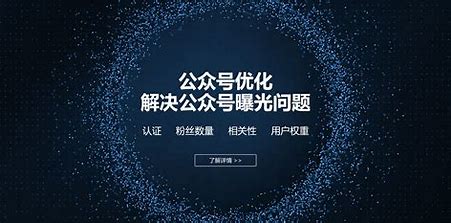 北京seo网站排名优化公司 的图像结果