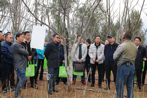 凤翔区人民政府 基层动态 区林业局召开国土绿化试点示范项目推进会