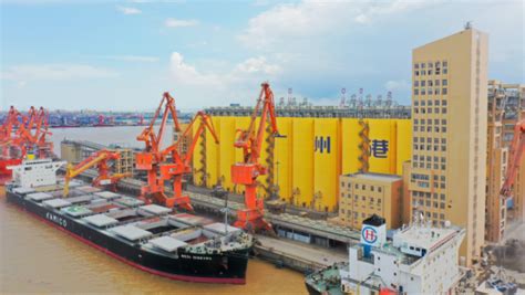 外贸货物通关装卸作业效率提升12.5%——粮食通用码头助力优化南沙口岸营商环境