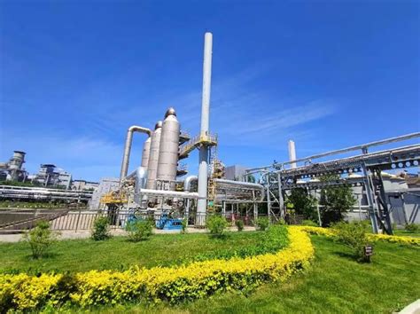 太钢集团焦化厂：多措并举 全面推进环境整治工作-能源资源_生态山西