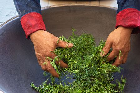 茶叶的生产工艺过程_360新知