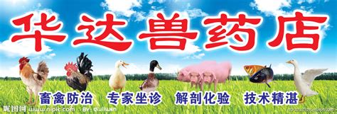 兽药宣传单页设计CDR素材免费下载_红动中国