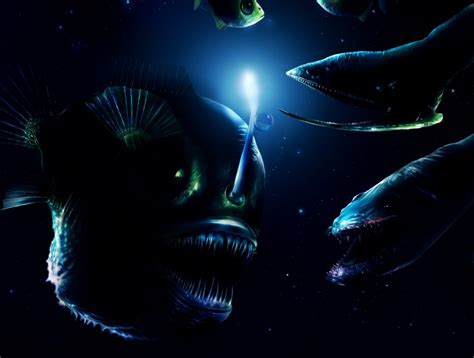 深海巨物恐惧症，海里出现一只“巨眼”，是未知生物还是乌龙事件_腾讯视频