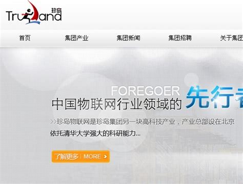 珍岛_珍岛信息技术（上海）股份有限公司 - 快出海